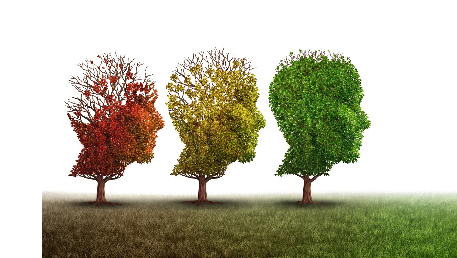 לעשות עסקים אחרת