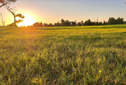 מי אמר שטיפול צריך לעשות על הכורסה? 