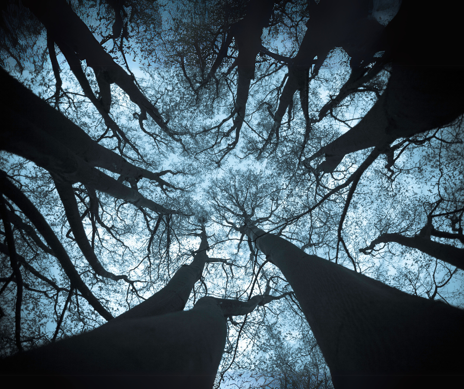 קלסטרופוביה (פחד ממקומות סגורים) 