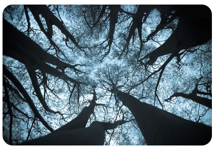 קלסטרופוביה | סער שגיב